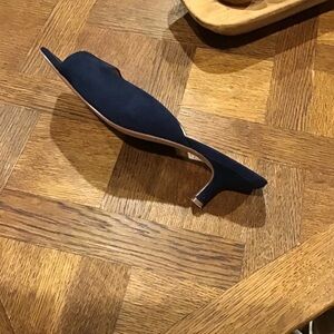 Elegant Navy Women's Mules